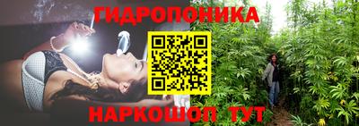 прущие крисы Ярославль