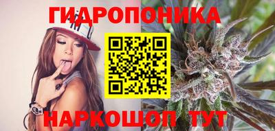 прущие крисы Ярославль