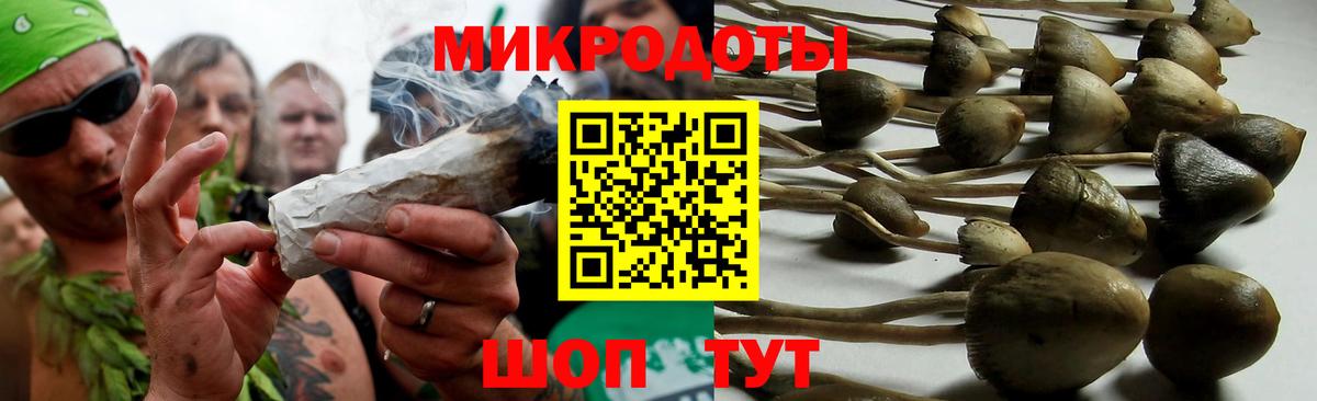 Выкса  Галлюциногенные грибы GOLDEN TEACHER  Псилоцибиновые грибы GOLDEN TEACHER  Вход с VPN 